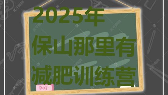 十大2025年保山那里有减肥训练营排行榜