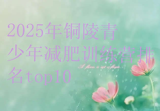 十大2025年铜陵青少年减肥训练营排名top10排行榜