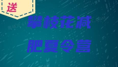 十大2025年攀枝花封闭减肥训练营便宜排名top10排行榜