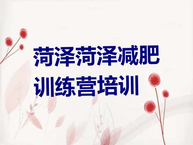 十大2025年菏泽牡丹区去减肥训练营有用吗排行榜