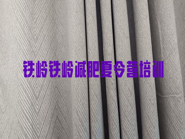 十大7月铁岭银州区减肥营费用排行榜