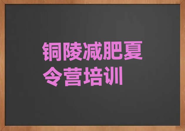 十大2025年铜陵减肥班训练营排行榜