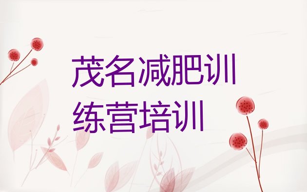 十大2025年茂名茂南区减肥班训练营排名top10排行榜