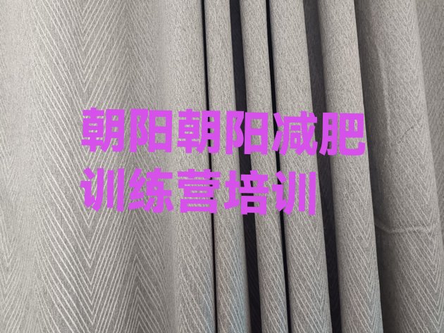 十大2025年朝阳双塔区减肥训练营价格多少排行榜