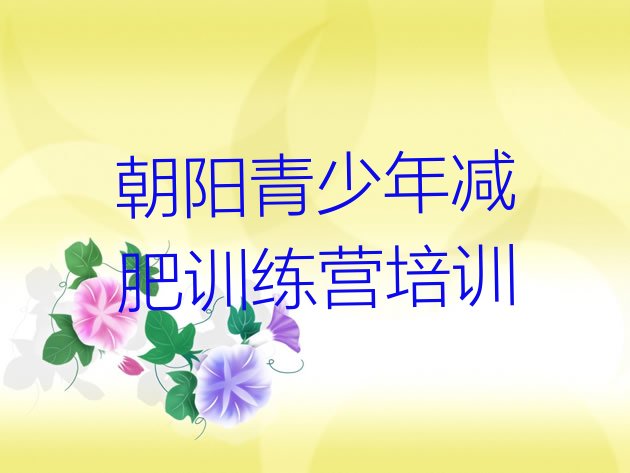 十大2025年朝阳减肥训练营收费排名排行榜