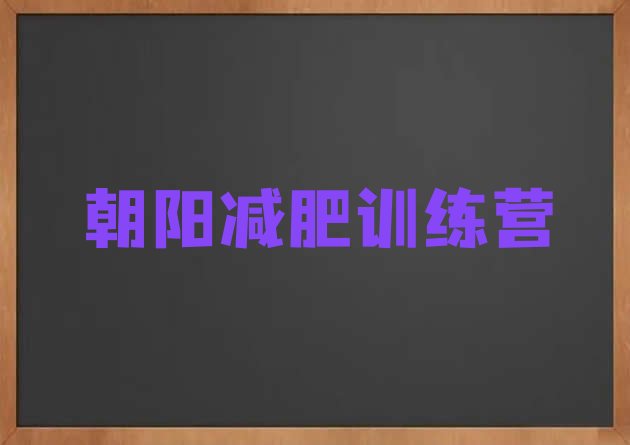 十大2025年朝阳减肥封闭式训练营十大排名排行榜