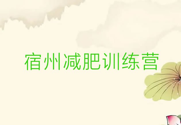 十大宿州去减肥训练营有用吗排行榜