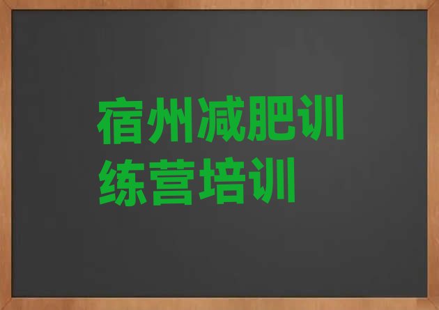 十大2025年宿州专门减肥训练营排行榜