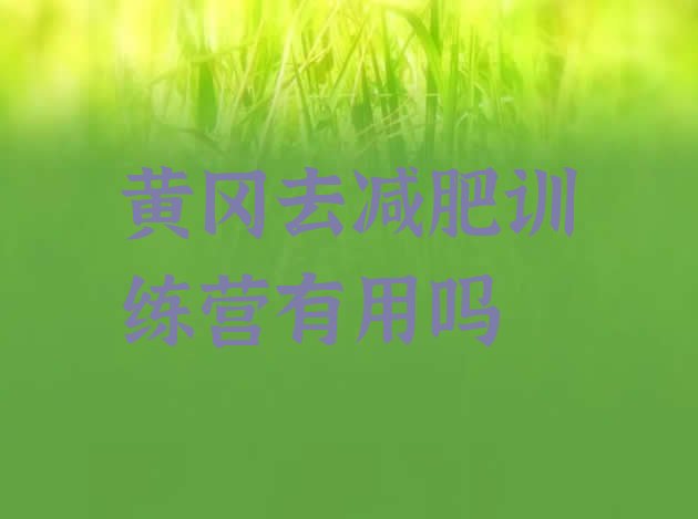 十大黄冈去减肥训练营有用吗排行榜