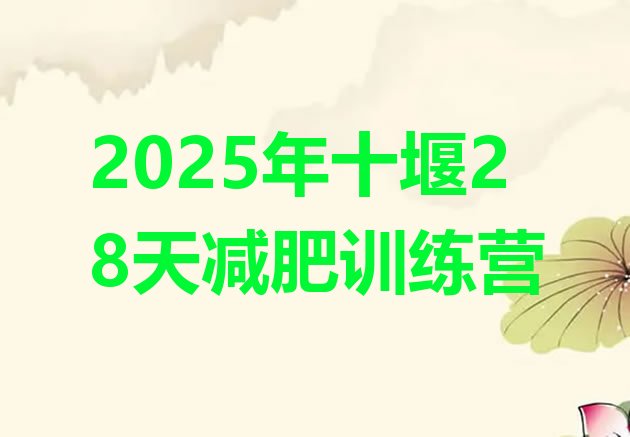 十大2025年十堰28天减肥训练营排行榜