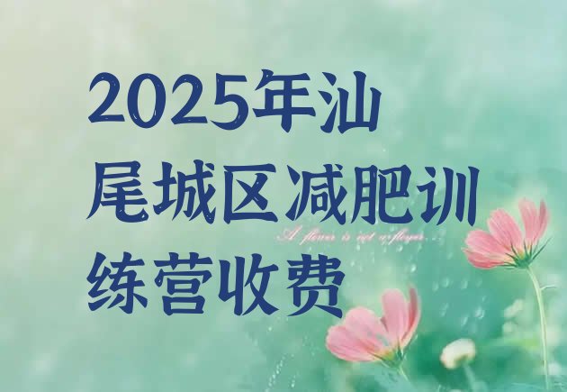 十大2025年汕尾城区减肥训练营收费排行榜
