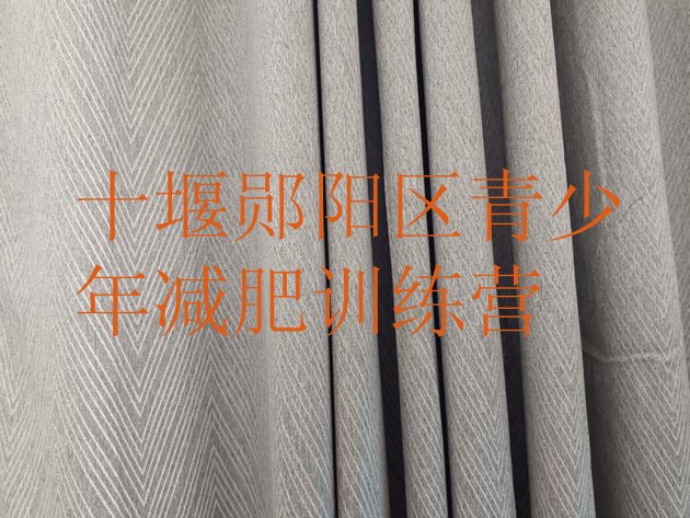 十大2025年十堰郧阳区减肥班训练营排名前十排行榜