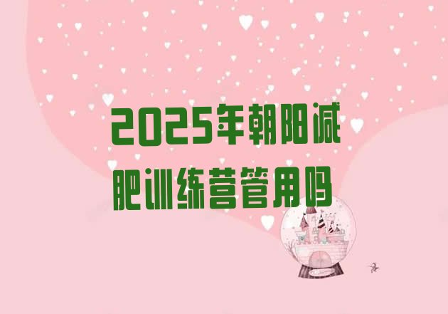 十大2025年朝阳减肥训练营管用吗排行榜