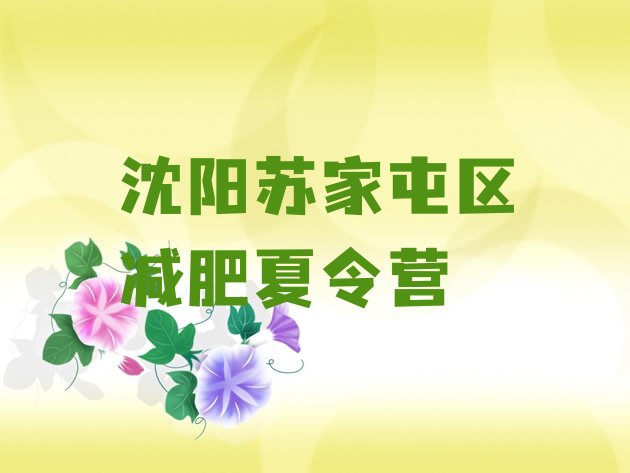 十大2025年沈阳苏家屯区训练营减肥排行榜