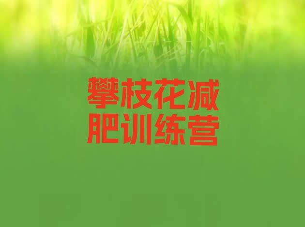 十大2025年攀枝花减肥训练营排名排行榜