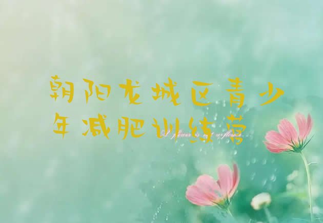 十大朝阳龙城区青少年减肥训练营实力排名名单排行榜