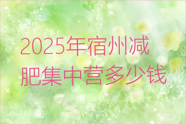十大2025年宿州减肥集中营多少钱排行榜