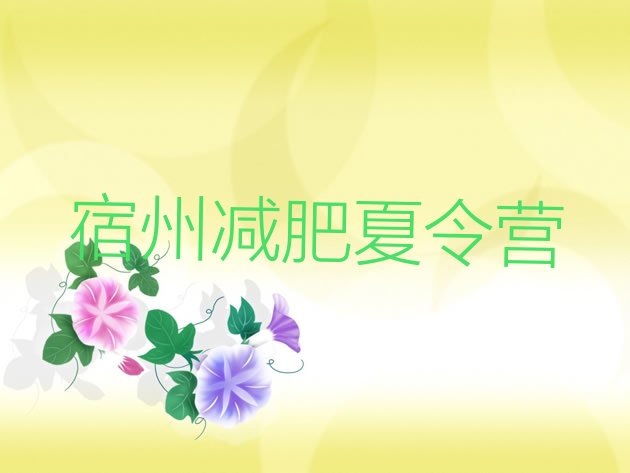 十大2025年宿州封闭减肥训练营排行榜