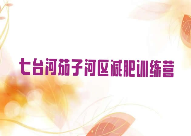 十大七台河茄子河区健康减肥训练营排行榜