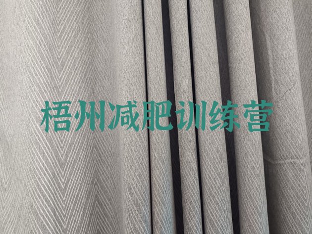 十大2025年梧州达人减肥训练营排行榜