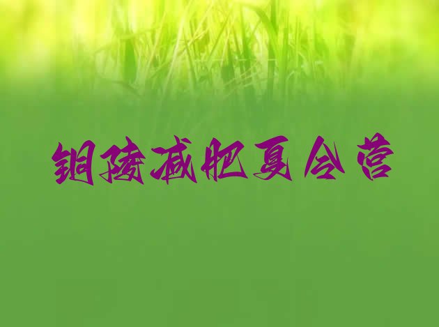 十大铜陵减肥训练营一周推荐一览排行榜