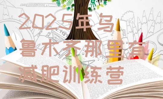 十大2025年乌鲁木齐那里有减肥训练营排行榜