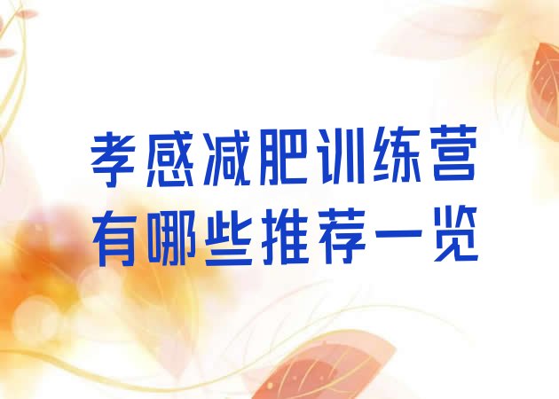 十大孝感减肥训练营有哪些推荐一览排行榜