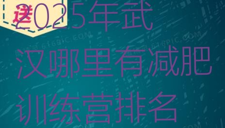 十大2025年武汉哪里有减肥训练营排名排行榜
