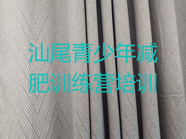 十大2025年汕尾城区减肥训练营哪里便宜实力排名名单排行榜