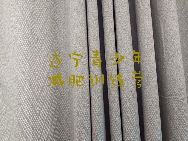 十大遂宁减肥训练营那家好排行榜