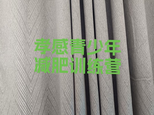 十大2025年孝感封闭减肥训练营哪里好排行榜