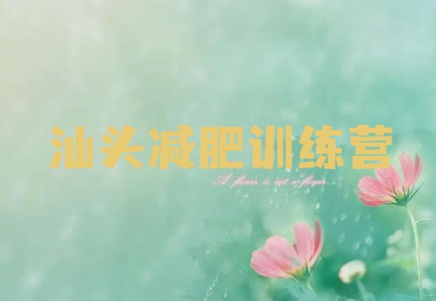 十大2025年汕头减肥营费用排名排行榜