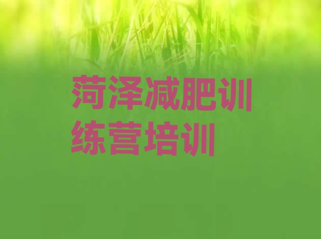 十大2026年菏泽减肥训练营报名排行榜