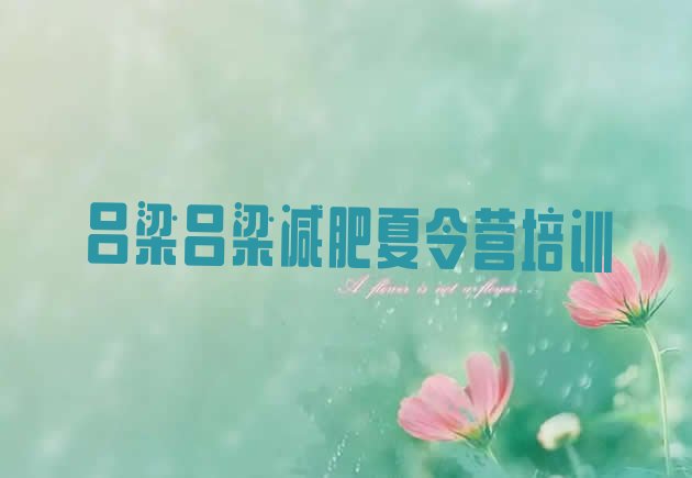 十大吕梁离石区达人减肥训练营排行榜