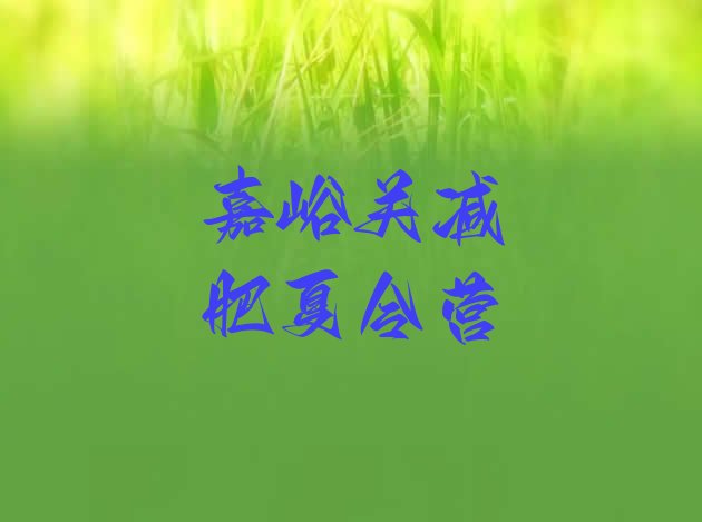 十大2026年嘉峪关减肥健身训练营排行榜