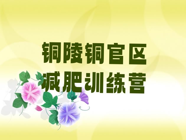 十大铜陵铜官区魔鬼式减肥训练营排行榜
