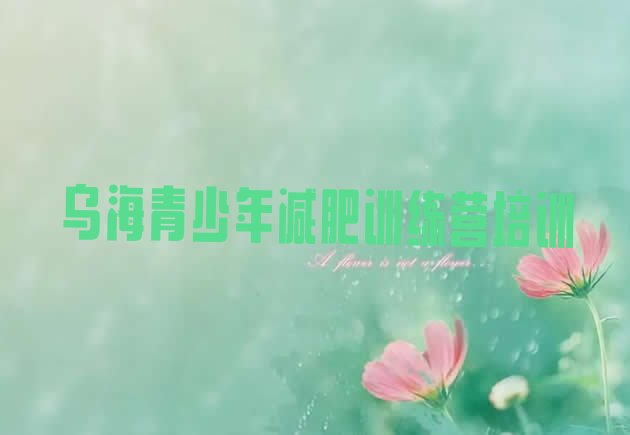 十大乌海海南区一般减肥训练营费用排行榜