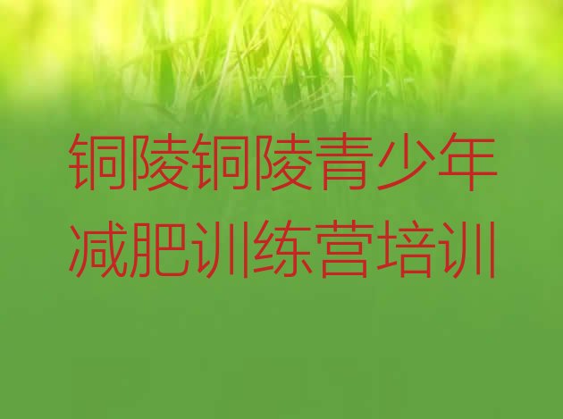 十大2026年铜陵减肥封闭式训练营排行榜