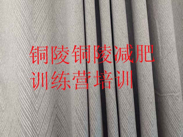 十大2026年铜陵义安区21天减肥训练营排行榜