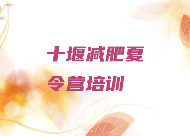 十大2026年十堰减肥瘦身集训营排名前五排行榜