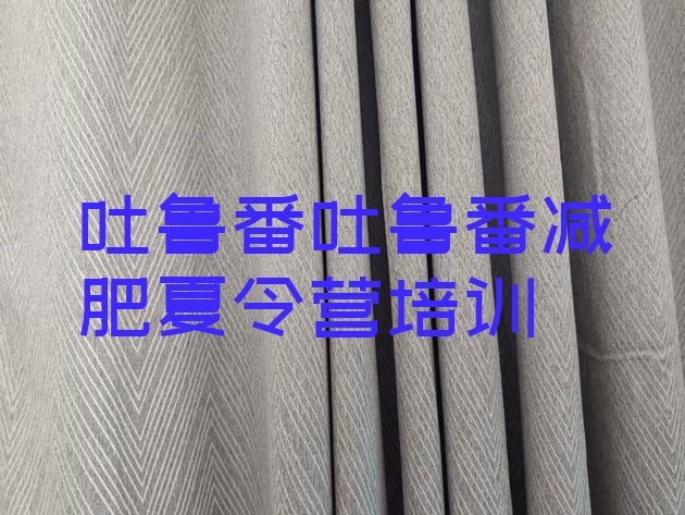 十大2026年吐鲁番有没有减肥的训练营排行榜