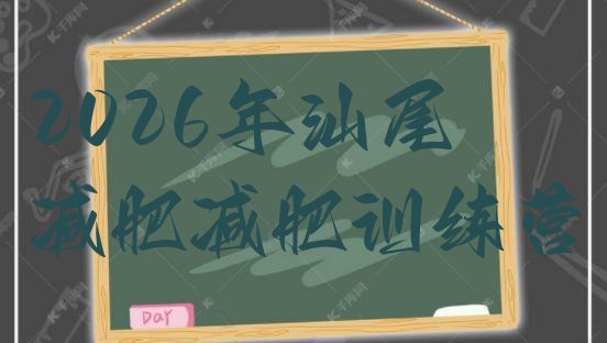 十大2026年汕尾减肥减肥训练营排行榜