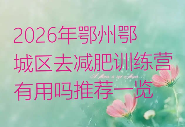 十大2026年鄂州鄂城区去减肥训练营有用吗推荐一览排行榜