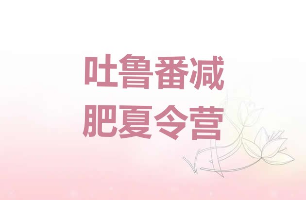 十大2026年吐鲁番减肥训练营价格多少排名top10排行榜