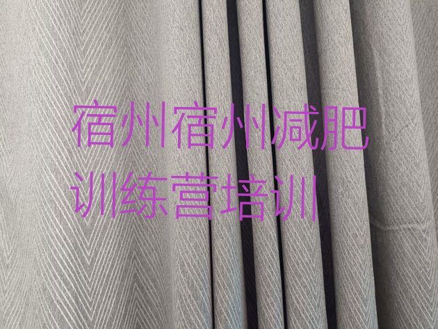 十大2026年宿州全封闭减肥集训营名单一览排行榜