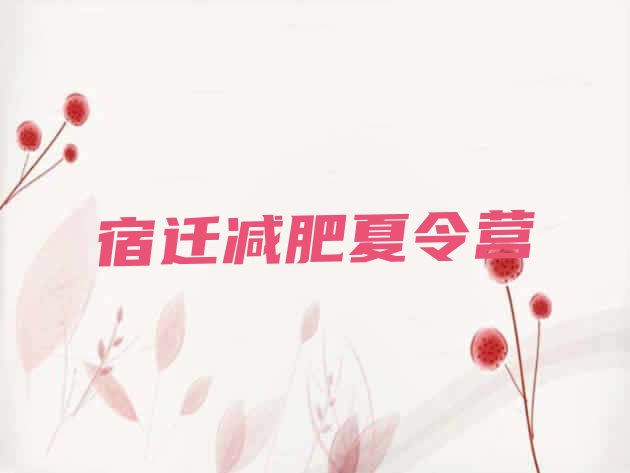 十大宿迁减肥特训营排名一览表排行榜