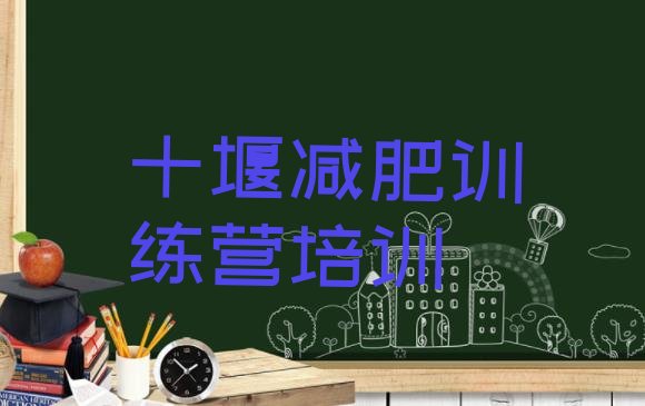 十大2026年十堰减肥集中营推荐一览排行榜