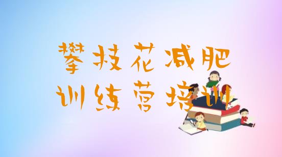 十大2026年攀枝花西区减肥班训练营多少钱十大排名排行榜