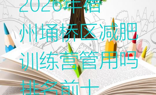 十大2026年宿州埇桥区减肥训练营管用吗排名前十排行榜