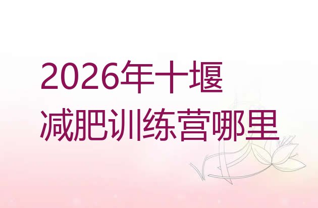 十大2026年十堰减肥训练营哪里排行榜